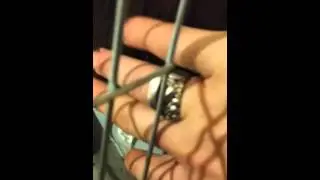 Harbor Freight Multi BEER Can Crusher Part 2 (post catastrophic failure)