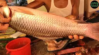 Fish Cutting Skill