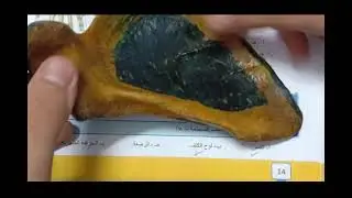 كتاب القمة - الدعامة في الإنسان - ميني بوكليت (3)