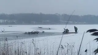 Herd of deer rescued by firefighters from frozen lake in Poland | AFP