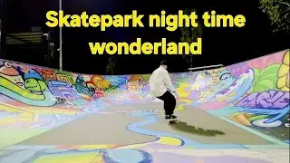 Skatepark night time wonderland