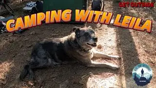 NEW Camp Gear Reviews & Camping With My Dog (Leila)