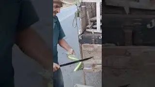 Cortando Palma