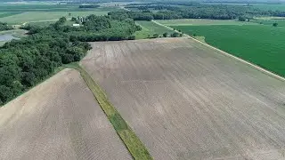 Tillable Investment Property With A Side Of Recreation For Sale (49 Acres In Douglas County, IL)