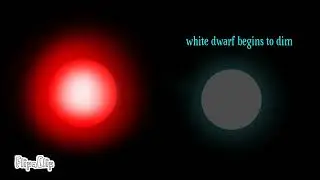 Red Dwarf VS White Dwarf Lifespan