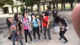 Nikki Rowe Whip My Hair Official Music Video