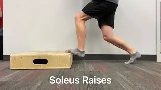 Shin Maintenance Exercises- Day A