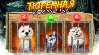 PRISON INSANITY ESCAPE CHALLENGE! Kitty Ariela is the coolest!