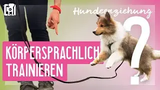 Körpersprachliche Hundeerziehung - Dos ✓ and Don'ts ✘