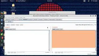 Burp Suite Text Not Showing Problem (Blank) Solution