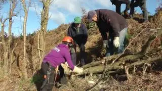 Summerhill Hedge Laying