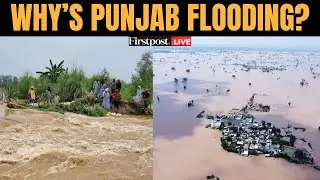 Punjab Floods LIVE: Over 37 Dead in Worst Floods in Punjab Since 1988; Ravi, Beas, Sutlej Overflow