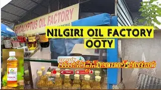 Oil factory ooty||ooty trip@patasala-cmp