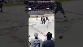 Pickford drops the gloves and wrestles him down! #shorts #seattle #thunderbirds #hockey