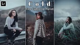 Cold Moody Black Lightroom Mobile Presets download | Free Lightroom Presets without password