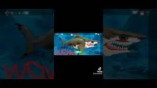 Superman the megalodon 🤩🤩⭐⭐😎⭐🌟✨💫💫💫💫💫💫💫💫💫💫💫💫💫💫💫💫