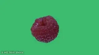 Red Raspberry On Green Screen FREE HD