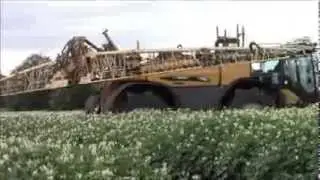 Challenger Rogator RG 655B Spraying 2013,wvm
