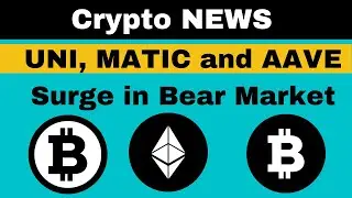 UNI, MATIC and AAVE Surge in Bear Market | OKX Got License in Dubai - Crypto World News in Hindi