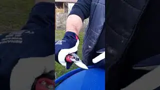 Samuraii