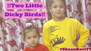 #ShaanRaviTV Two Little Dicky Birds Sitting on the Wall | #EnglishRhymes