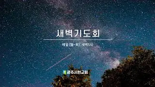 12월 26일 새벽기도회(실황중계)