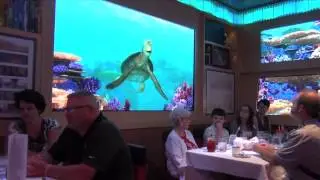 Animator's Palate on Disney Dream