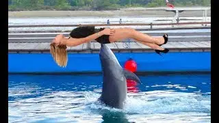 Dolphin Amazing show - Sea Lion, Monkey, Whale show
