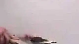 Fire Seal Fire Poly Demonstration Video
