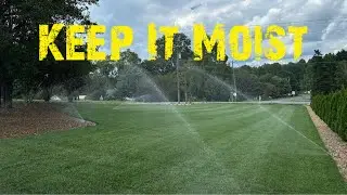 How To Water Grass Seed To Ensure Success