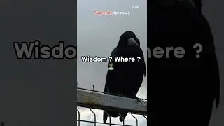 🪶 The Crow Who Asked for Help | Moral Story with Animals 🪶 #usa #morallesson #moralstory