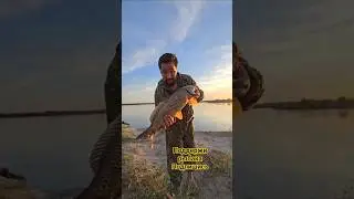 поддержи подпиской рыбака с Алматы