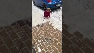 началось🤣🤍домой не хочет 🤣 #амстафф #собака #dog #amstaff #staff #стафф #юмор