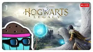 From Muggle to Master Wizard 🪄 | Hogwarts Legacy Day - 1  🌀🎮