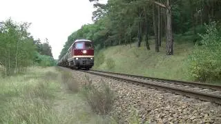 BR 232 004-2 LEG Ludmilla mit Kesselzug am Haken vor Passow (Uckermark) HD