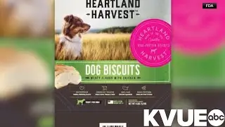 Dog treats recalled in Texas, several other states amid salmonella risk