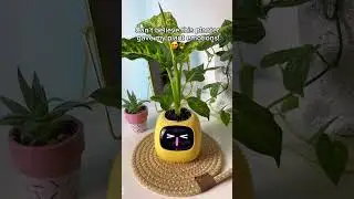 Plants have emotions! ☺️🪴            #aiplanter #plants #planter #plantlove #houseplants