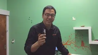 A Special Flea Comb Technique