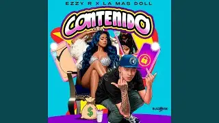 Contenido
