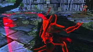 Neverwinter: Dragonborn Closeup