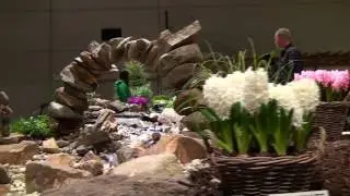 Midwest Pond Design Debuts at The Chicago Flower And Garden Show