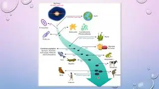 Application of Micro-algae - Dr. THU RA