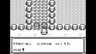 Misleading Professor Oak Glitch in Pokemon Red/Blue