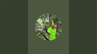 SLYKNOT  is live! Live cat rescue! Cat in tree! 😱🙀