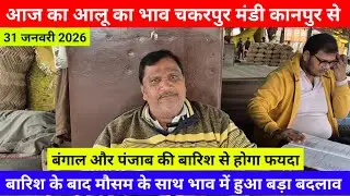 आज का आलू का भाव चकरपुर मंडी कानपुर से बारिश के बाद मौसम के साथ भाव में हुआ बड़ा बदलाव Aalu Ka Bhav