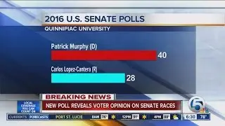 Poll says Rep. Murphy leads in 2016 Florida Senate race