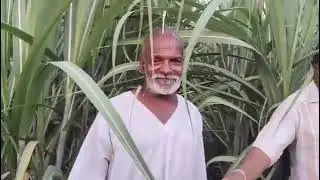 ಕಬ್ಬಿನ ಬೆಳೆಗೆ ಉತ್ತಮ ರಿಸಲ್ಟ್ -7676491698