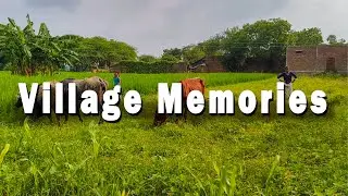 Village Memories | The Dreams Photography V-log