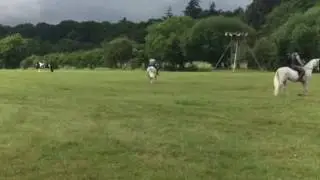 Zen working in