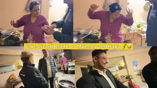 Fake Lizard Prank on My Parents 🦎🤣 | Fun Family Prank Vlog | Daily Vlog #310